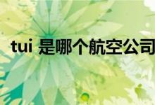 tui 是哪個(gè)航空公司的簡稱（tui 是什么梗）