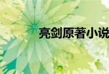 亮劍原著小說(shuō)（亮劍小說(shuō)簡(jiǎn)介）