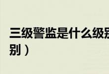 三級(jí)警監(jiān)是什么級(jí)別官員（三級(jí)警監(jiān)是什么級(jí)別）