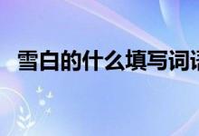 雪白的什么填寫(xiě)詞語(yǔ)(雪白的什么填詞語(yǔ))