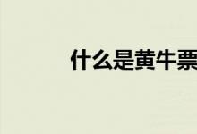 什么是黃牛票（什么是黃牛票）