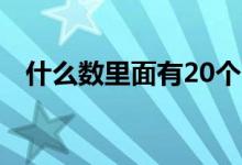 什么數(shù)里面有20個(gè)1（20個(gè)1的數(shù)是什么）