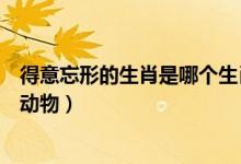 得意忘形的生肖是哪個生肖(得意忘形是十二生肖里的什么動物)