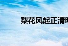 梨花風(fēng)起正清明原文（文章講解）