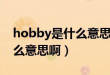 hobby是什么意思翻譯成英語(yǔ)（hobby是什么意思?。?class=