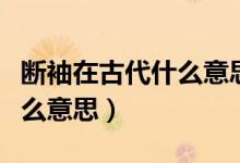 斷袖在古代什么意思（古代中的斷袖指的是什么意思）