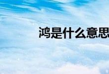 鴻是什么意思（鴻是什么意思）