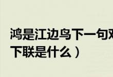 鴻是江邊鳥(niǎo)下一句對(duì)聯(lián)是什么（鴻是江邊鳥(niǎo)的下聯(lián)是什么）
