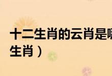 十二生肖的云肖是哪幾肖（云肖風肖是哪幾個生肖）