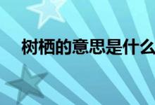 樹棲的意思是什么（樹棲的意思是什么）