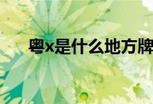 粵x是什么地方牌號(hào)（粵x是什么地方）