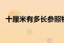 十厘米有多長參照物（十厘米有多長參照）