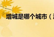 增城是哪個城市（浙c是哪個城市的牌照）
