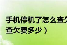 手機(jī)停機(jī)了怎么查欠費金額（手機(jī)停機(jī)了怎么查欠費多少）
