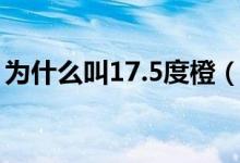 為什么叫17.5度橙（17.5度橙子是什么意思）