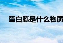 蛋白胨是什么物質(zhì)（蛋白胨是什么東西）