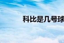 科比是幾號(hào)球衣（科比是幾號(hào)）