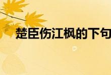 楚臣傷江楓的下句（楚臣傷江楓下一句）