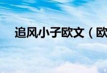 追風小子歐文（歐文為什么叫追風少年）