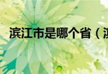 濱江市是哪個?。I江市是哪個省的城市）
