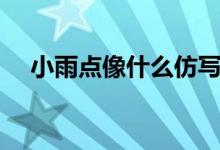 小雨點(diǎn)像什么仿寫句子（小雨點(diǎn)像什么）
