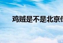 雞賊是不是北京俚語（雞賊是啥意思）