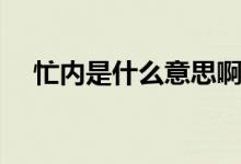 忙內(nèi)是什么意思?。?nèi)是什么意思呀）