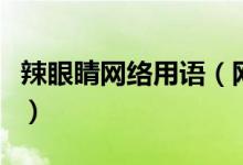 辣眼睛網(wǎng)絡用語（網(wǎng)絡詞語辣眼睛是什么意思）