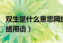 雙生是什么意思網(wǎng)絡(luò)用語(yǔ)（雙生是什么意思網(wǎng)絡(luò)用語(yǔ)）