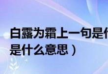 白露為霜上一句是什么古詩（白露為霜上一句是什么意思）