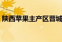 陜西蘋果主產(chǎn)區(qū)晉城（陜西蘋果主產(chǎn)地是哪）