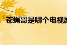 蒼蠅哥是哪個(gè)電視劇（蒼蠅哥是哪部電影）