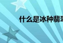 什么是冰種翡翠（什么是趕廟會）