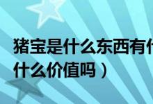 豬寶是什么東西有什么用（豬寶是什么東西有什么價(jià)值嗎）