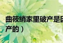 曲筱綃家里破產(chǎn)是因?yàn)槭裁矗ㄇ憬嫾以趺雌飘a(chǎn)的）