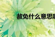 赦免什么意思?。ㄉ饷馐裁匆馑迹?class=