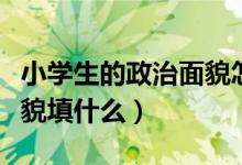 小學(xué)生的政治面貌怎么寫?。ㄐW(xué)生的政治面貌填什么）