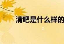 清吧是什么樣的場所（清吧是什么）