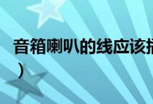 音箱喇叭的線應該插哪（音箱喇叭的線怎么接）