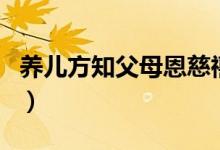 養(yǎng)兒方知父母恩慈禧（養(yǎng)兒方知父母恩下一句）