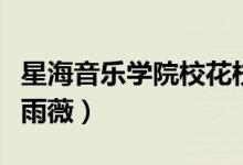 星海音樂學(xué)院?；ㄐ２荩ㄐ呛Ｒ魳穼W(xué)院?；ò贽保?class=