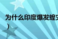 為什么印度爆發(fā)蝗災(zāi)（帶你了解未來(lái)蝗災(zāi)走向）