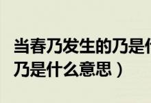 當(dāng)春乃發(fā)生的乃是什么意思?。ó?dāng)春乃發(fā)生的乃是什么意思）