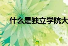 什么是獨立學(xué)院大學(xué)（什么是獨立學(xué)院）