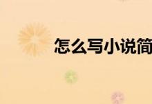 怎么寫小說簡介（怎么寫小說）