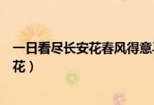 一日看盡長(zhǎng)安花春風(fēng)得意馬蹄疾是什么意思（一日看盡長(zhǎng)安花）