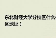 東北財經(jīng)大學分校區(qū)什么樣（東北財經(jīng)大學有幾個校區(qū)及校區(qū)地址）