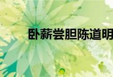 臥薪嘗膽陳道明電視?。ㄅP薪嘗膽）