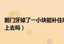 前門牙掉了一小塊能補住嗎（門牙掉了一小塊怎么辦,可以補上去嗎）