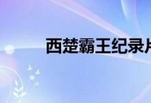 西楚霸王紀錄片（西楚霸王是誰）